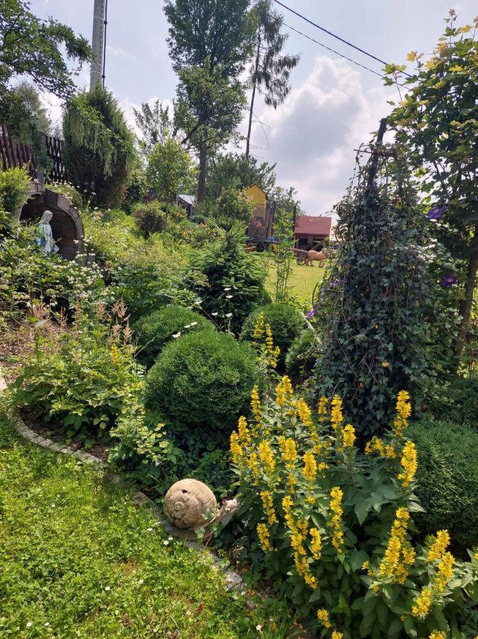 Noclegi U Ilony Czarna Góra Eksteriør bilde